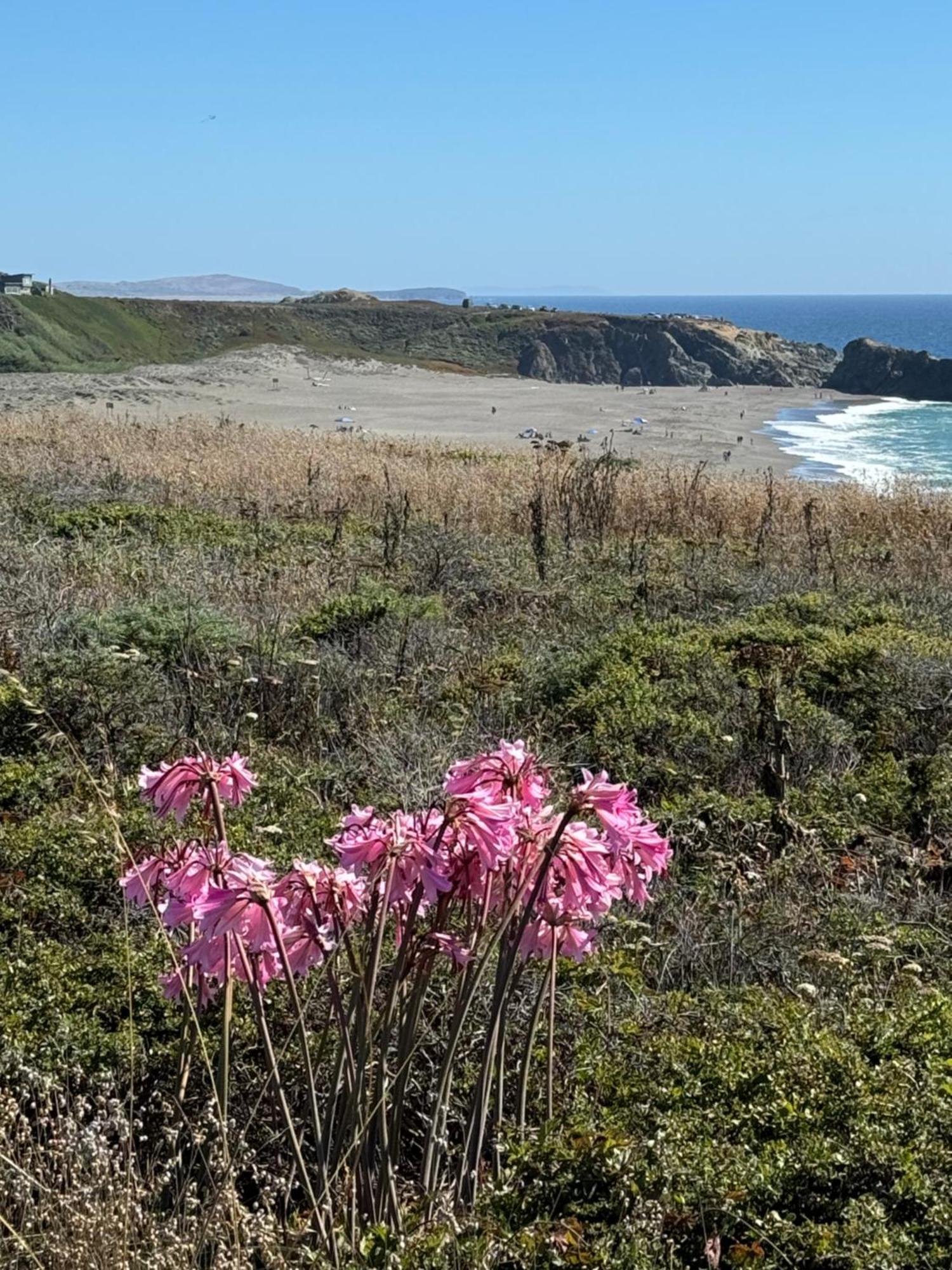Ocean And Sunset Views - Cliff Side Cottage Bodega Bay Esterno foto